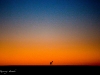 2009-trip-10097