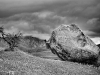 2009-trip-8106