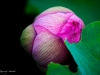 2009-trip-8401