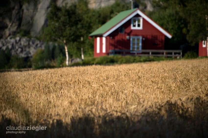 Flatanger Accomodation